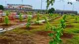 Andhra Pradesh story photo