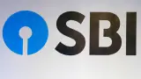 Business story photo