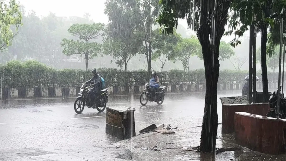 Environment story photo