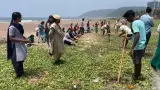Andhra Pradesh story photo