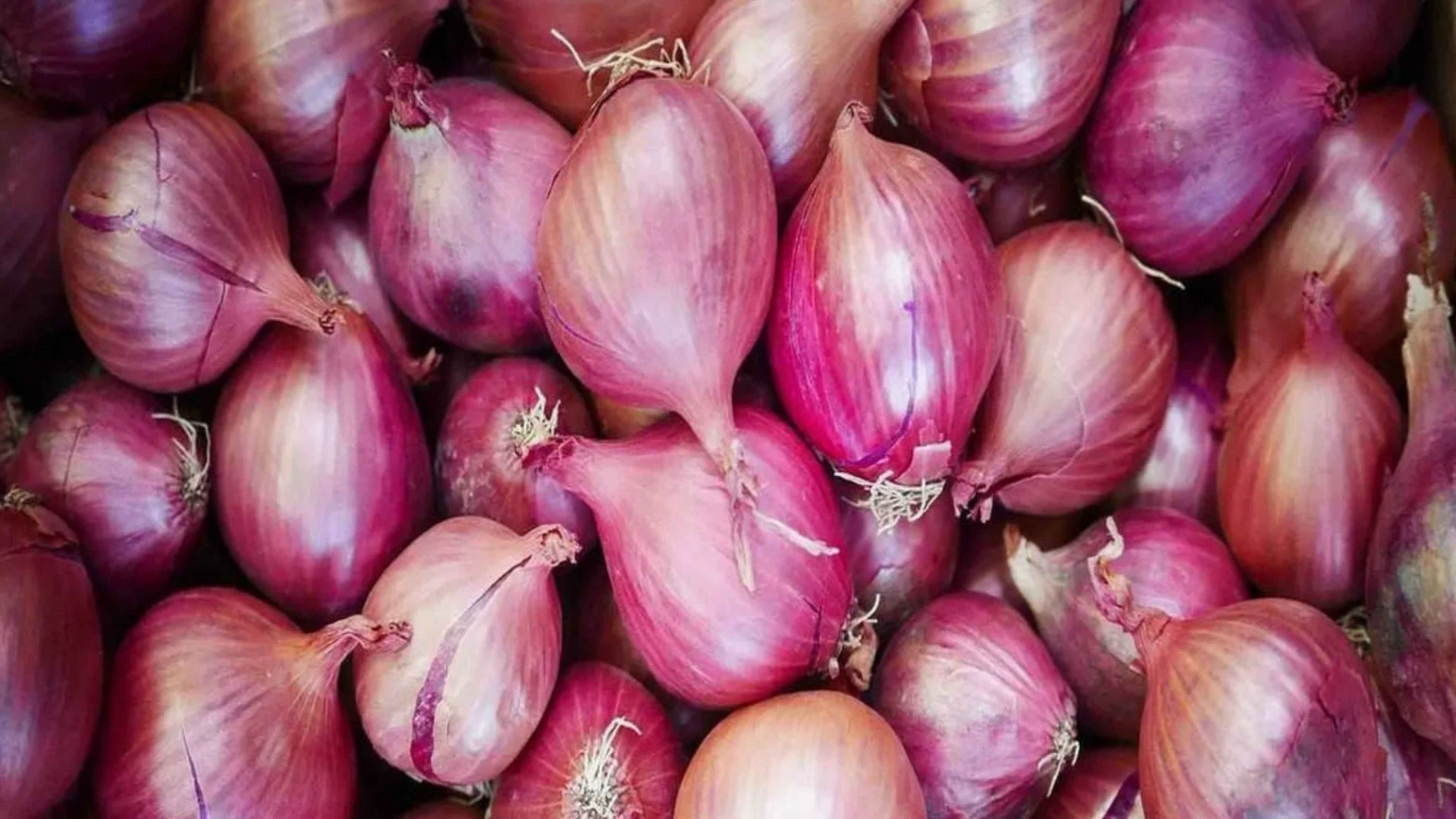 Onion Prices