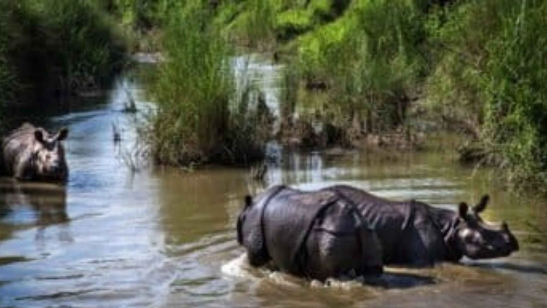 World story photo