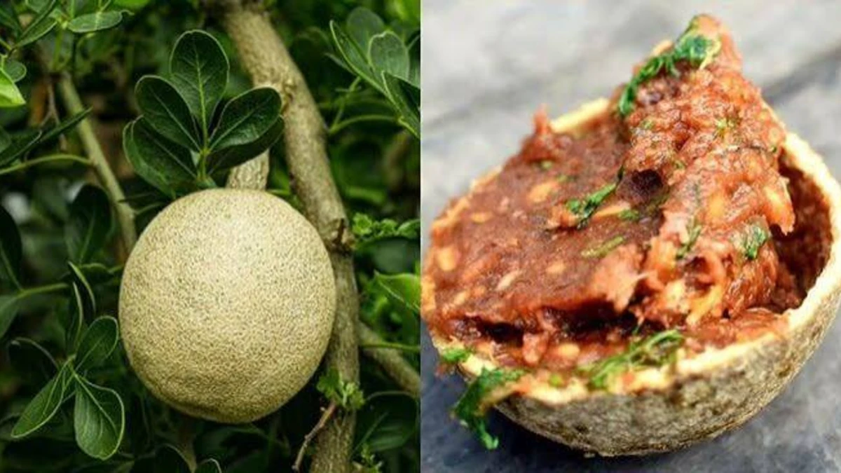 సర్వరోగ నివారిణిగా వెలక్కాయ