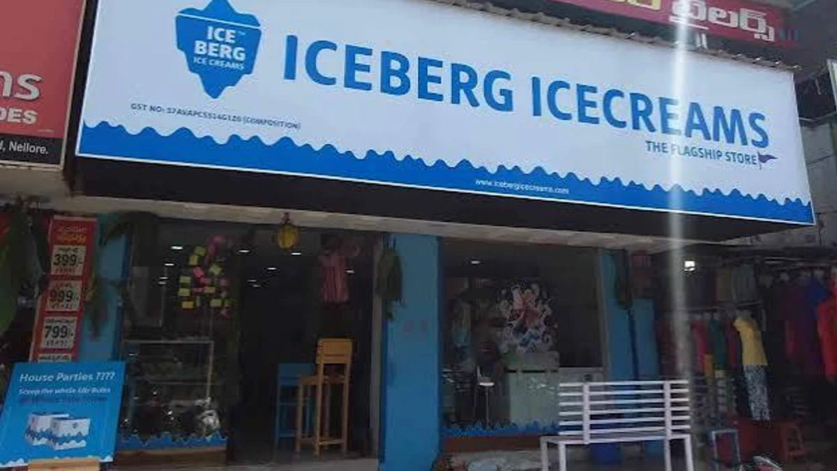 నెల్లూరు కుర్రాడి ఆర్గానిక్ ఐస్‌క్రీమ్
