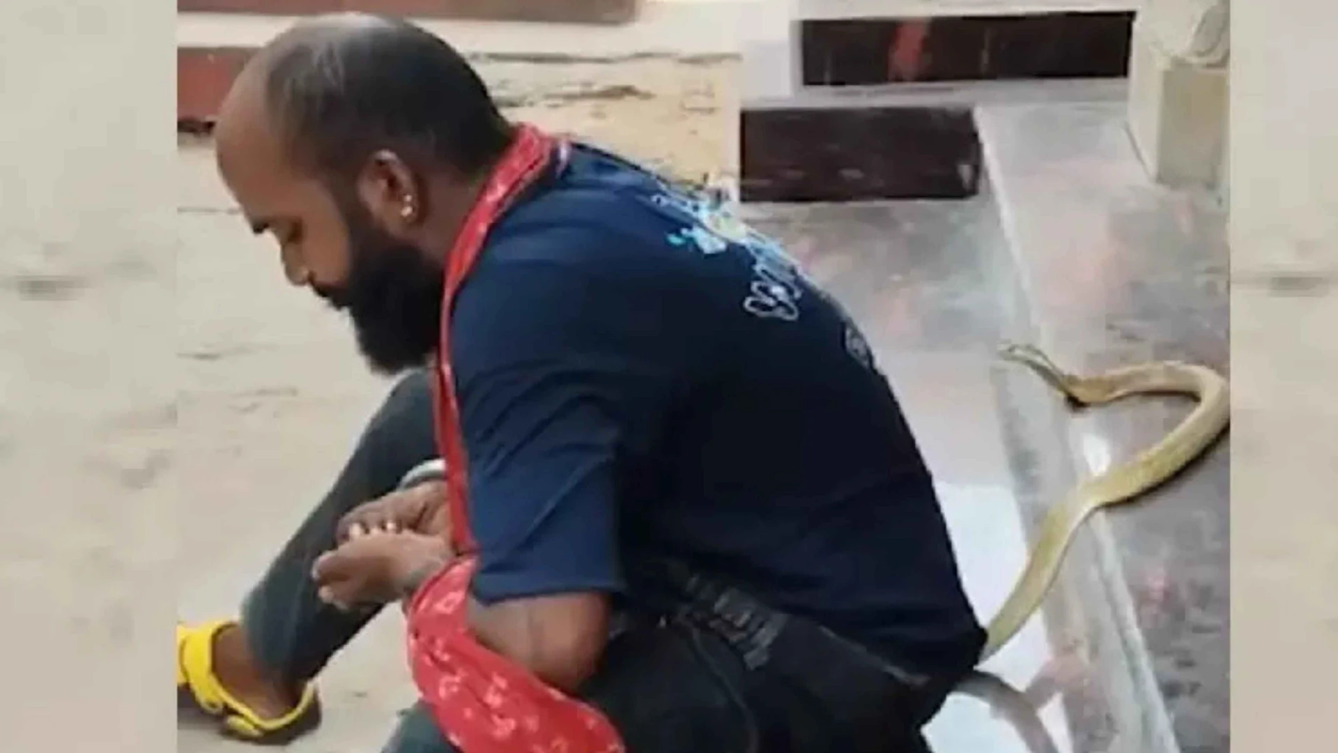 Odisha Man Dies After Cobra Bite