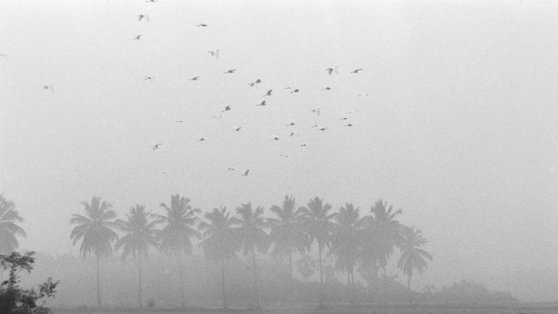 Andhra Pradesh Rain Alert