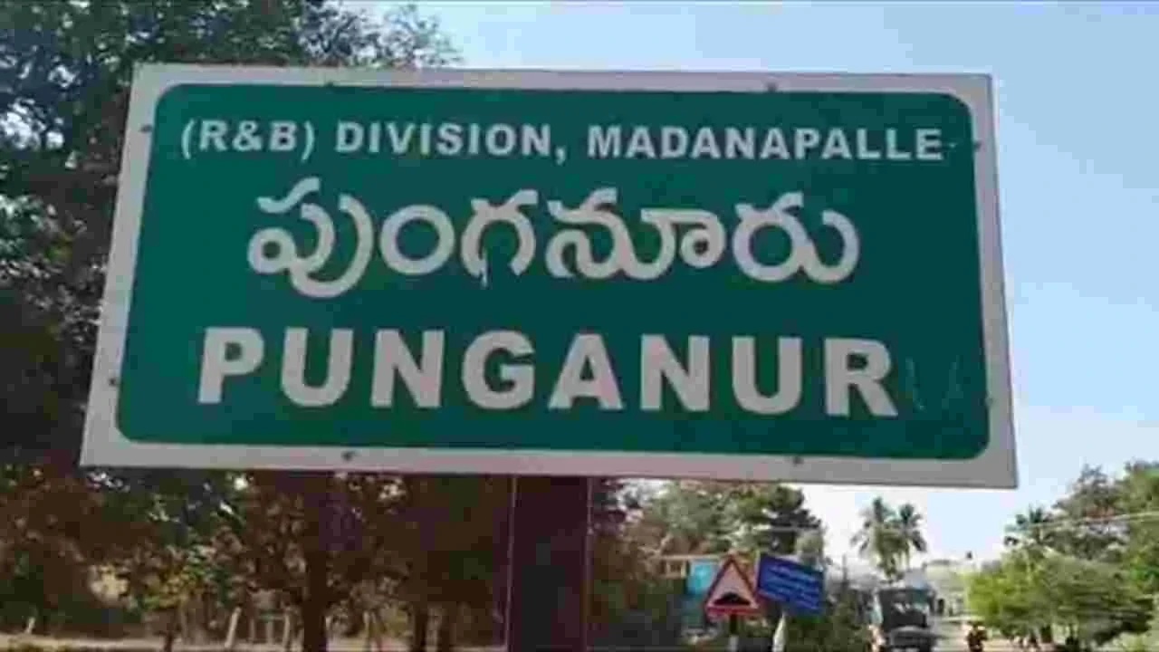 పుంగనూరు కోటలో తోకముడిచిన వైకాపా