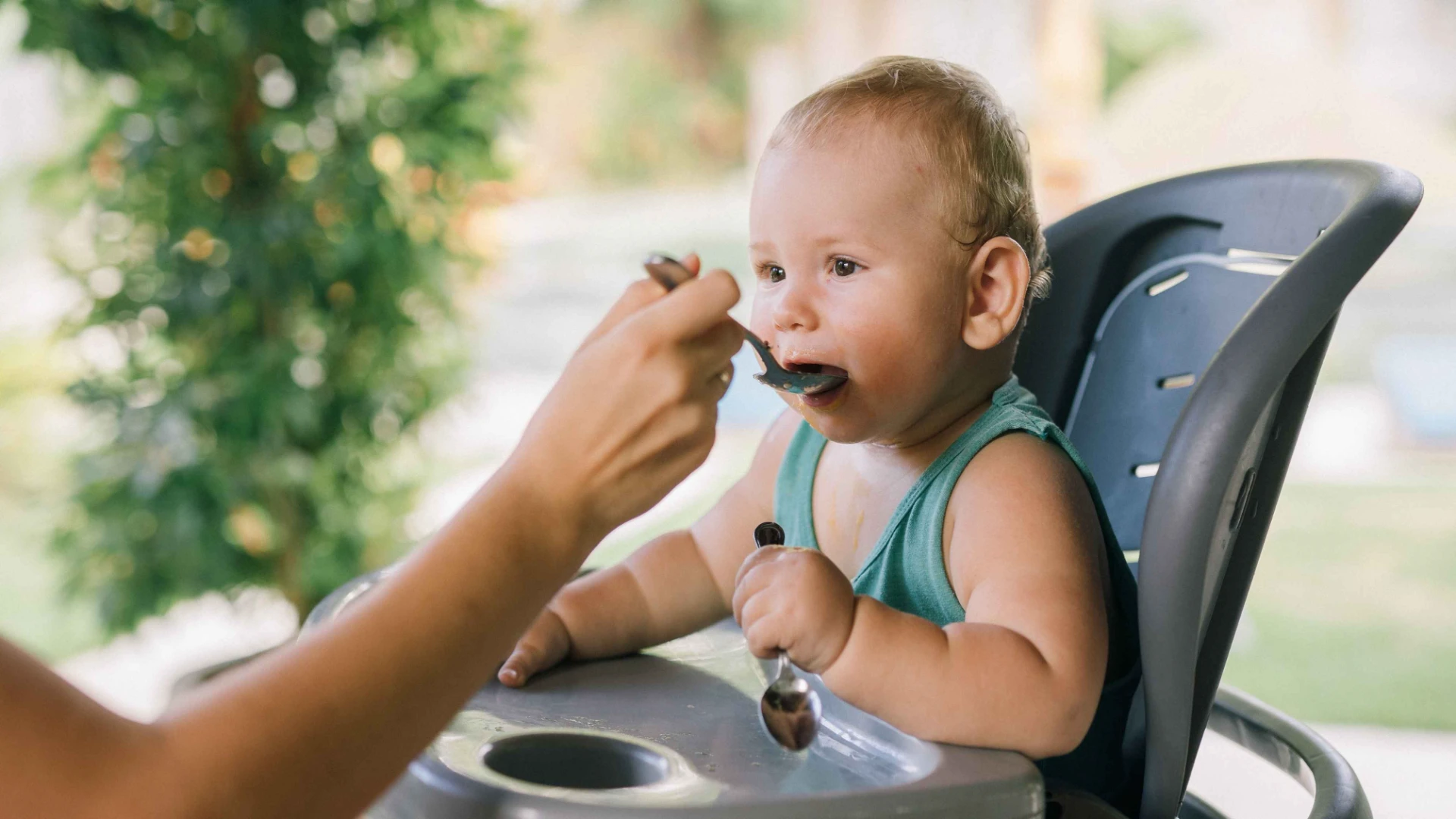 Infant Food Safety Standards