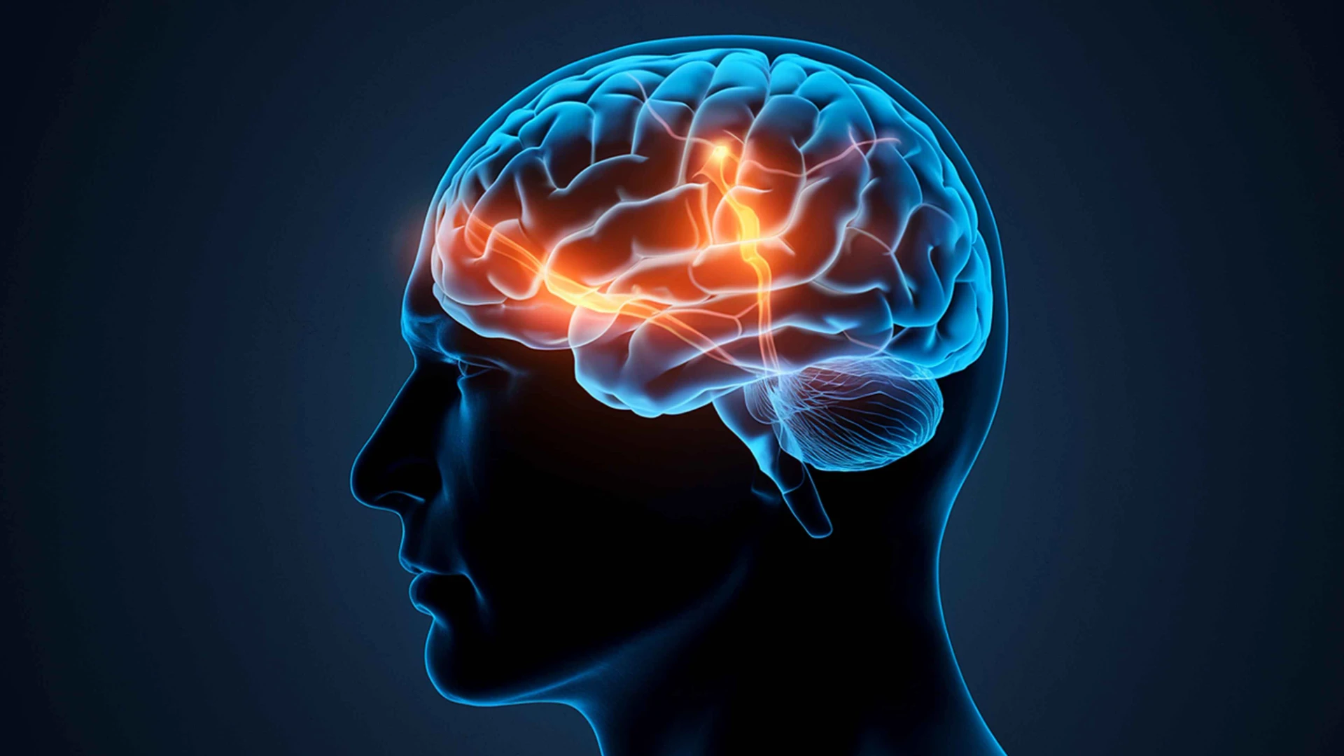 10 Fascinating Facts About Human Brain