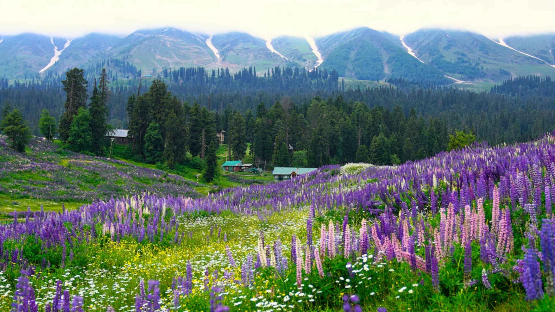 Uttarakhand Plans Eco Sensitive Zones