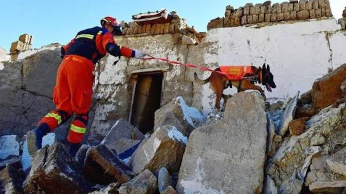 16 killed after magnitude 7 earthquake strikes tibet
