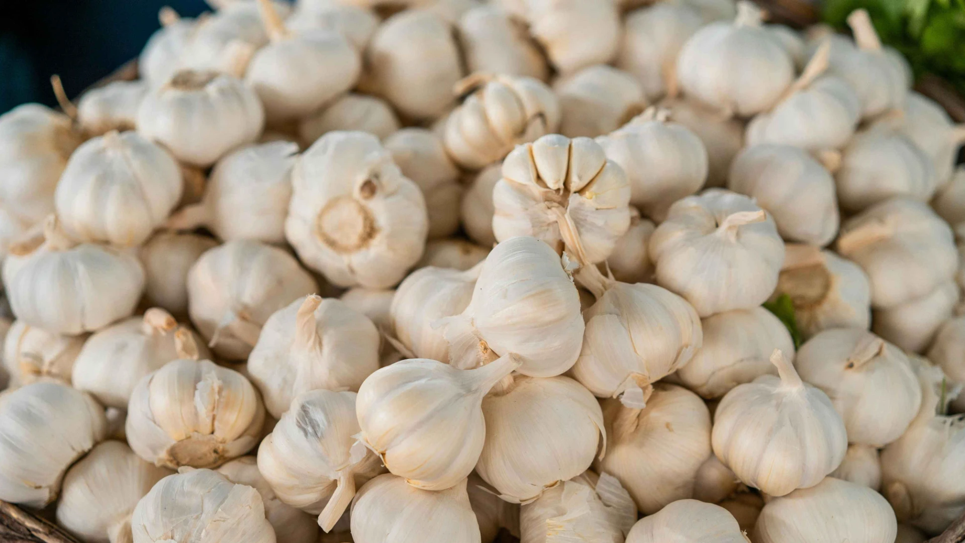 Garlic City of India