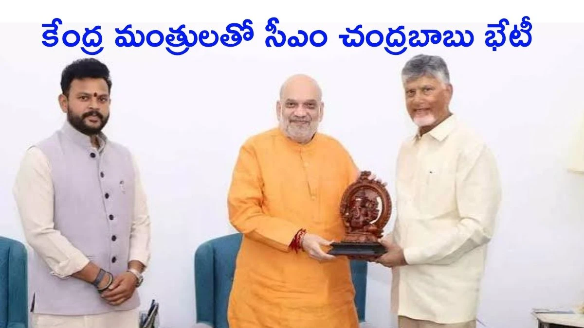కేంద్ర మంత్రులతో సీఎం చంద్రబాబు భేటీ