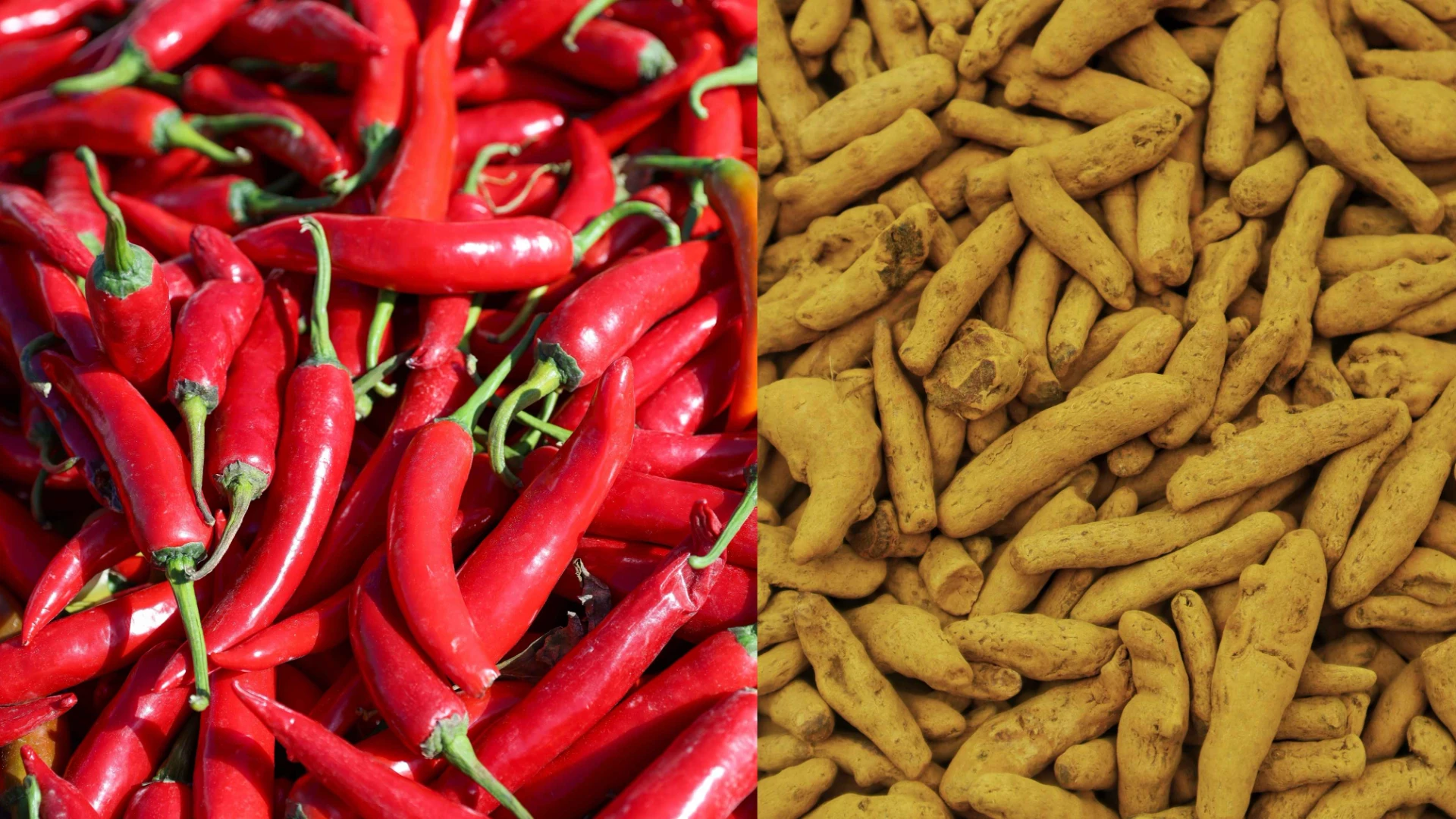 Guntur Chilli vs Nizamabad Turmeric