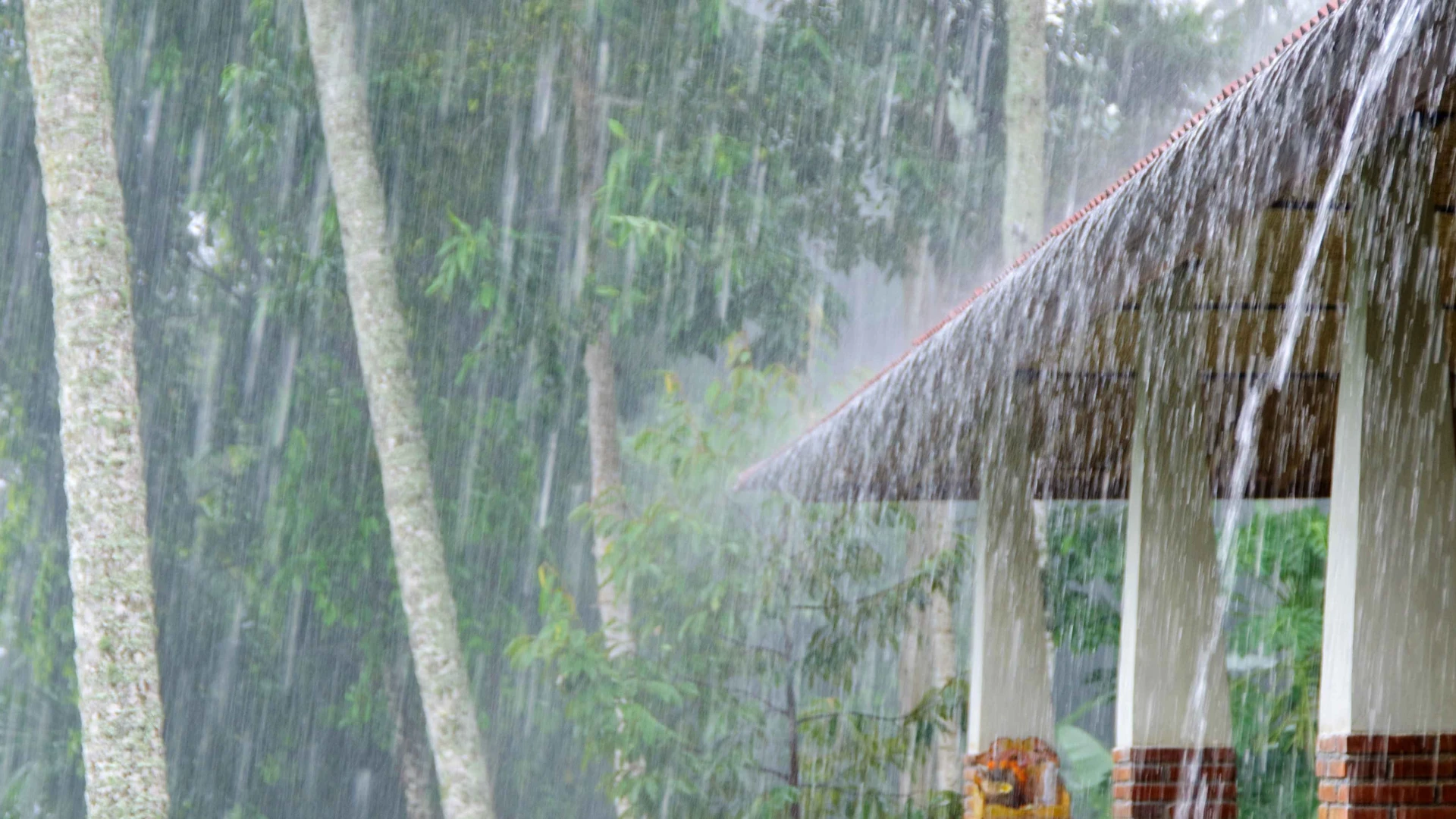 Northeast Monsoon