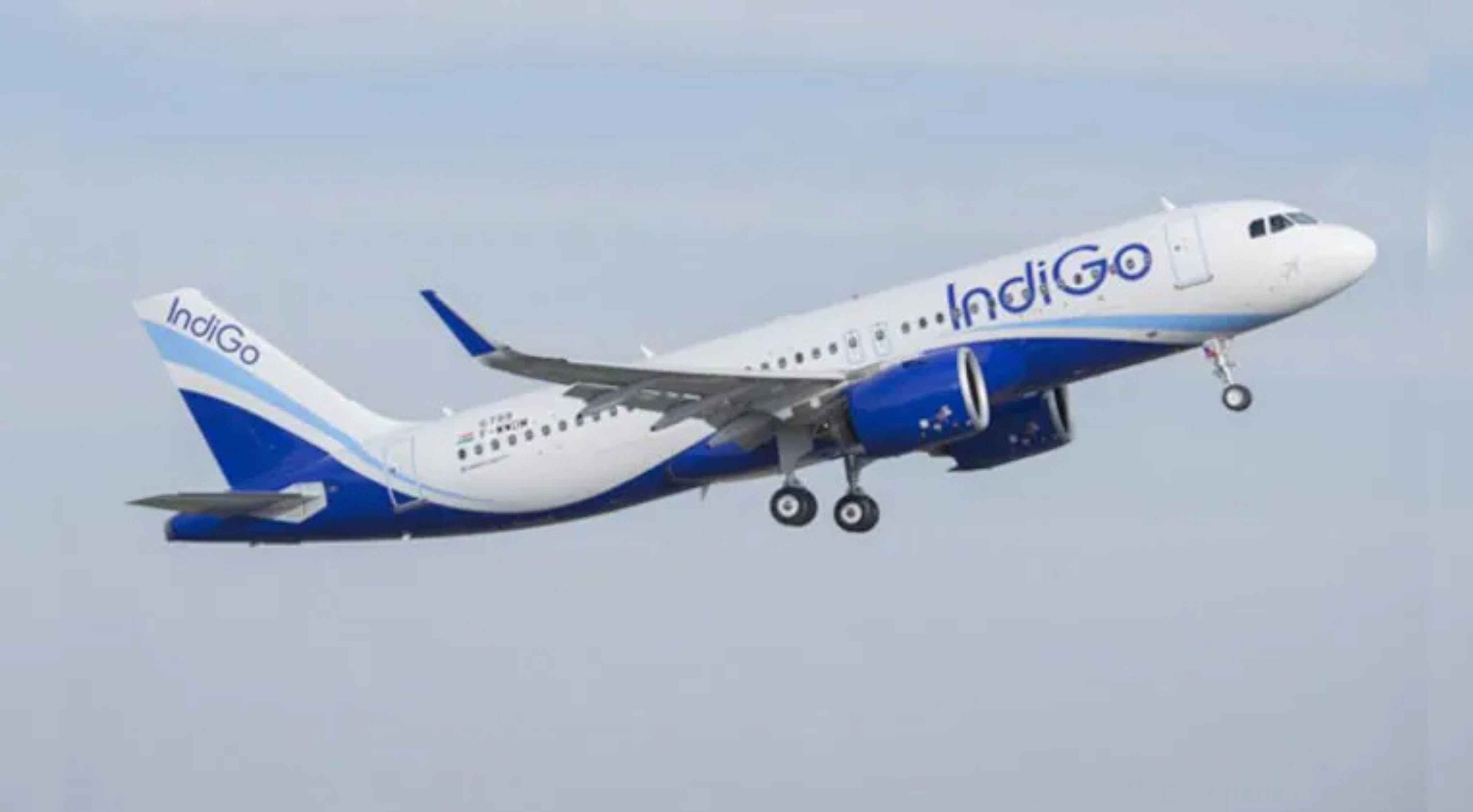 Indigo: ఆరు అంతర్జాతీయ మార్గాల్లో తాత్కాలికంగా విమాన సర్వీసులు నిలిపివేస్తున్న ఇండిగో!